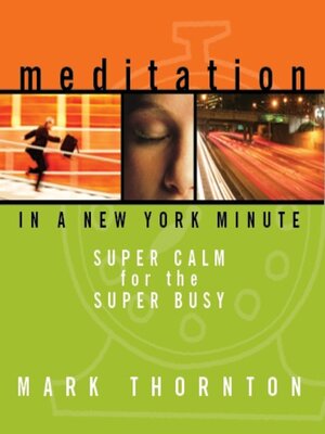 cover image of Meditation in a New York Minute